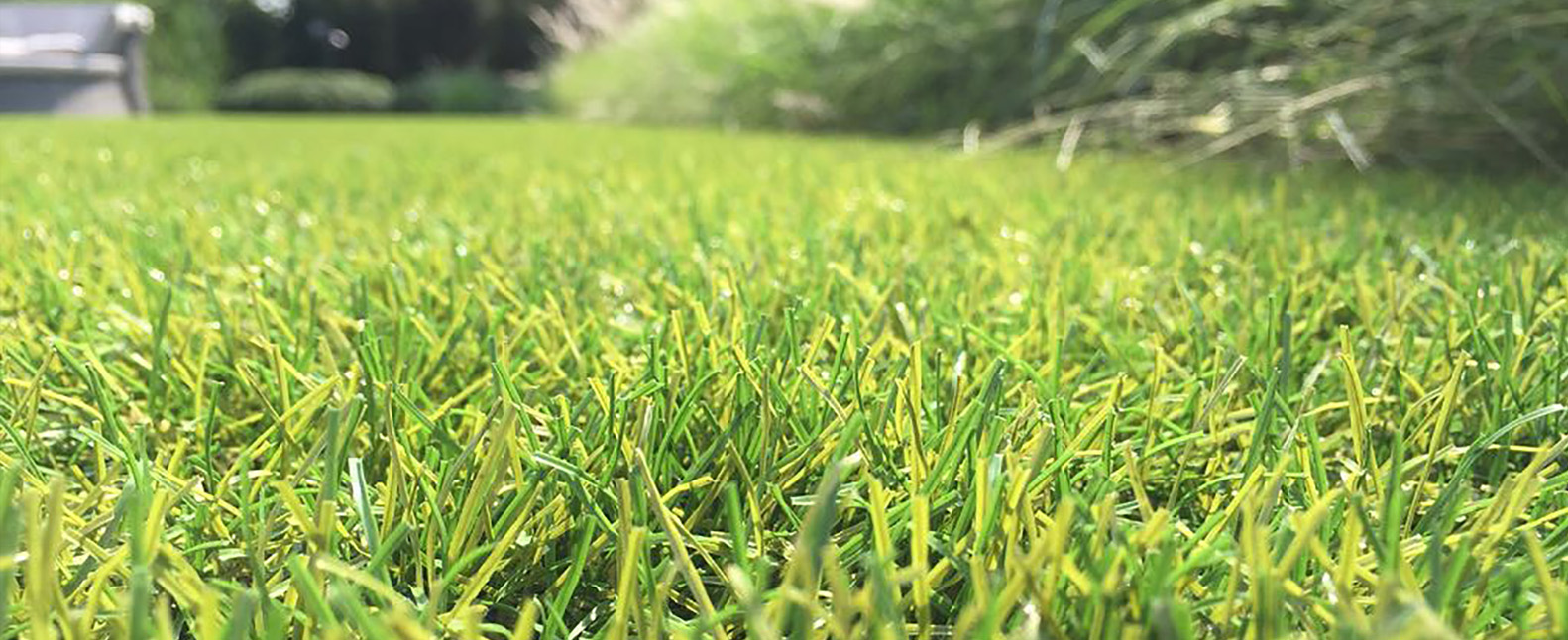 Moray Artifical Grass Lawns